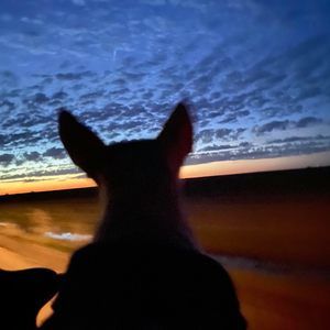 Meet your Posher, Keri